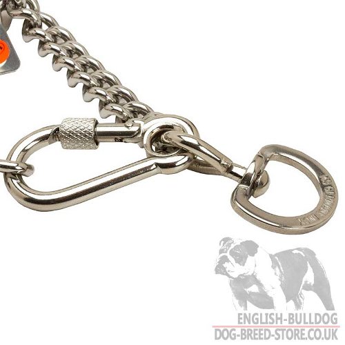 Bulldog Collar UK