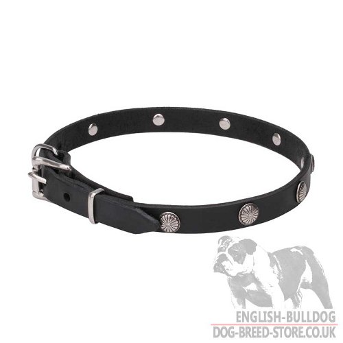Antique Dog Collar for Bulldog UK
