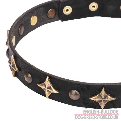 Dog Collar with Stars for Bulldog UK