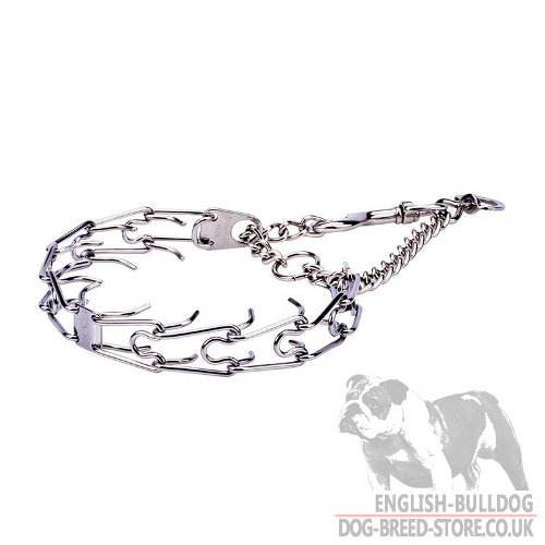 Bulldog Collar UK Martingale