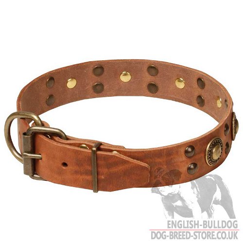 Bulldog Collars UK