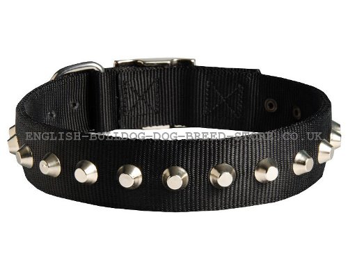 Bulldog Collar UK Nylon