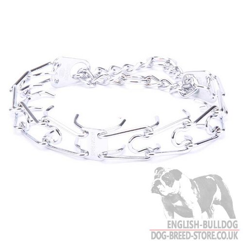 Bulldog Collar UK for Behavior Correction