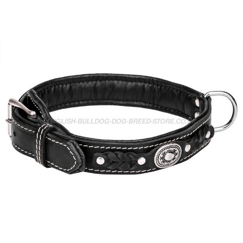 Designer Dog Collars for Bulldogs