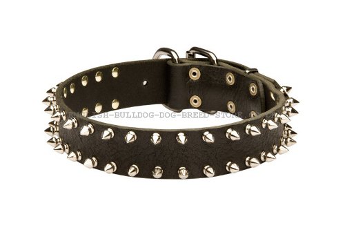 Bulldog Collar UK