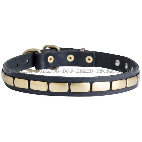 English Bulldog Collar UK