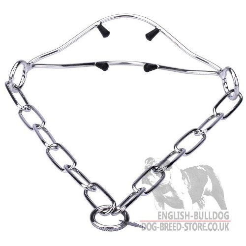 Bulldog Collar for Shows