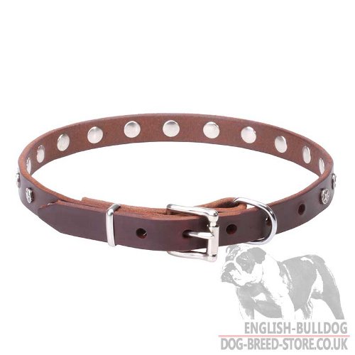 Bulldog Collars