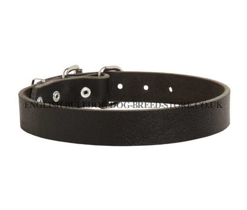 Bulldog Collars