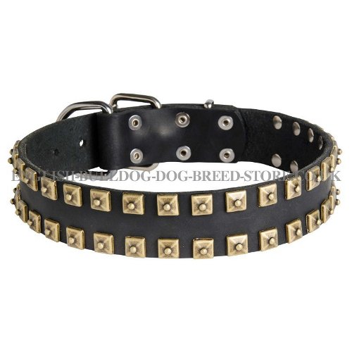 Bulldog Collars