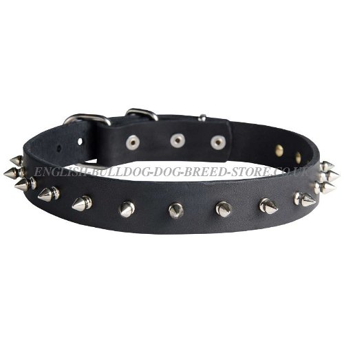 Bulldog Collars