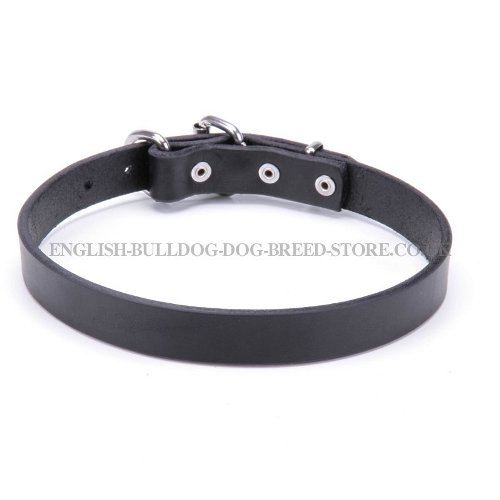 Bulldog Collars