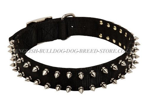 Bulldog Collars