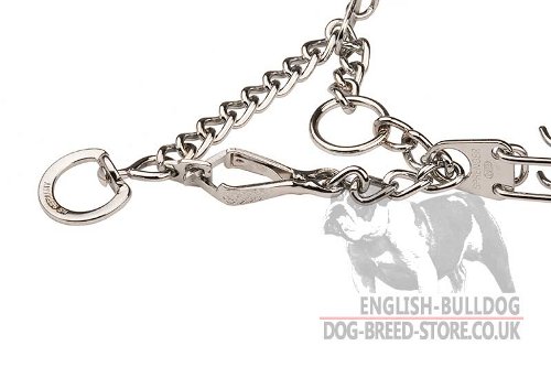 Bulldog Collars, Obedience Training