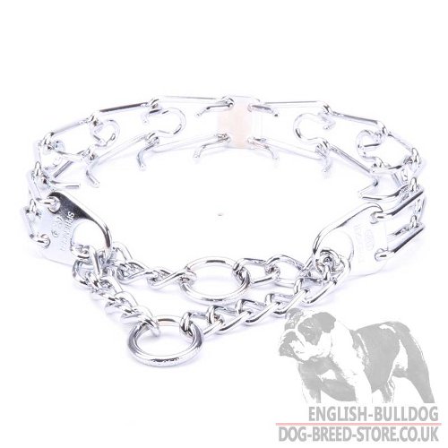 Bulldog Collars with Safe Prongs