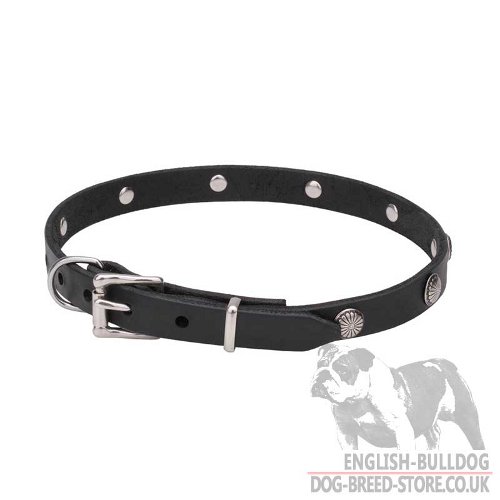 Buldog Collars UK Antique