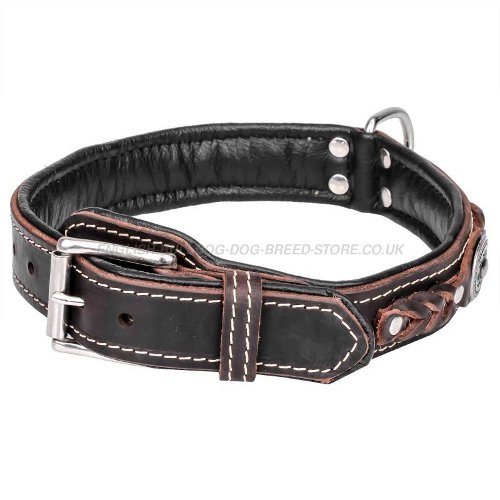 Bulldog Collars UK