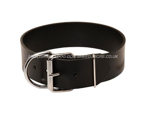 Bulldog Collars