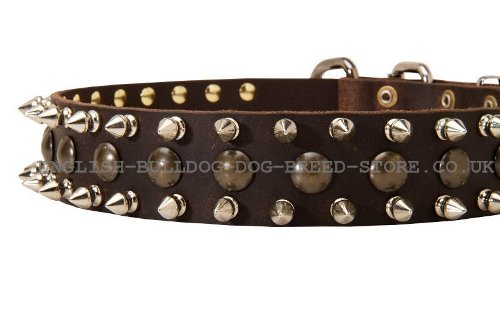 Bulldog Collars UK