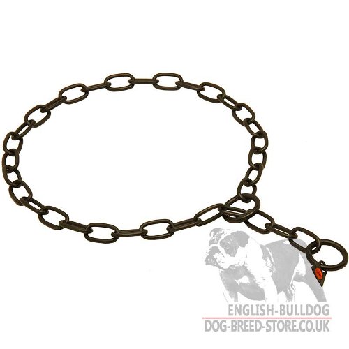 Bulldog Collars UK