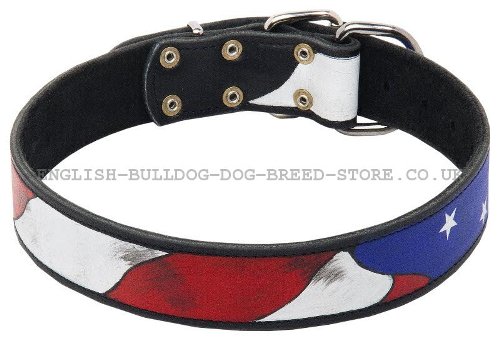 Bulldog Collars UK