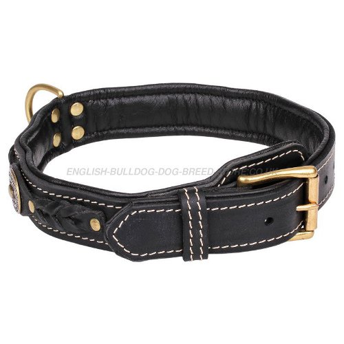 Bulldog Collars UK