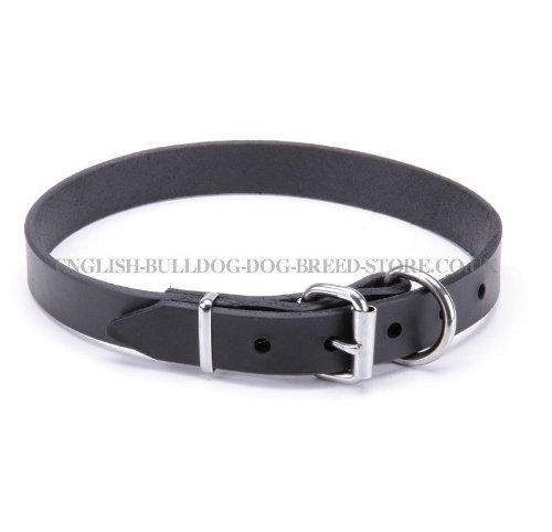 Bulldog Collars UK