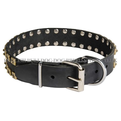 Collar for Bullmastiff