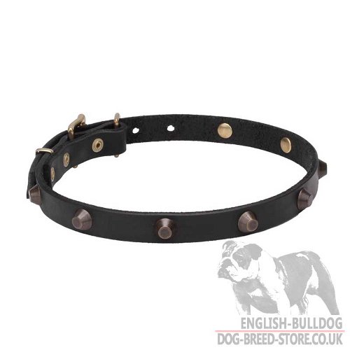 Necklace Dog Collars UK