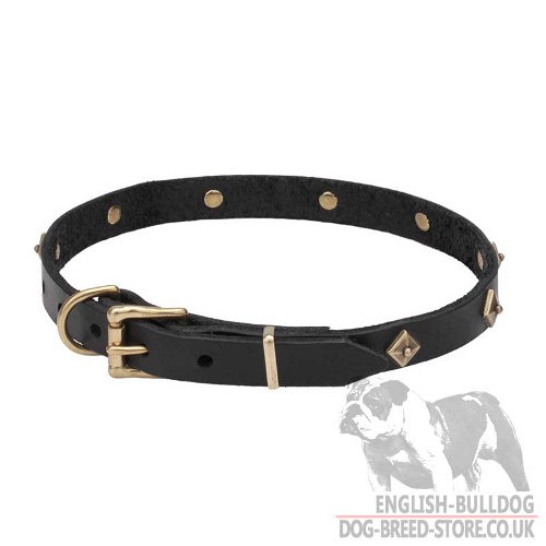 Buldog Collars UK Decorative