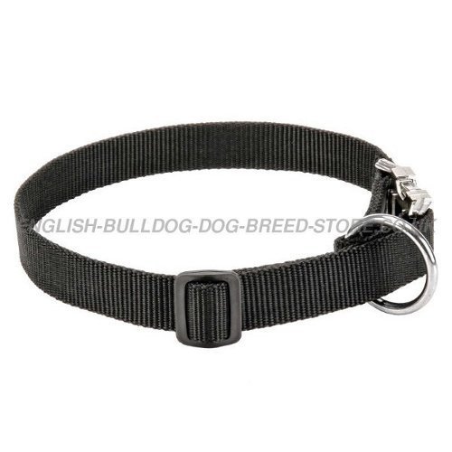 Bulldog Collars UK