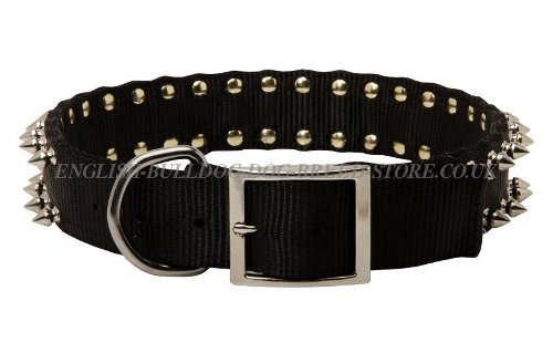 Bulldog Collars UK