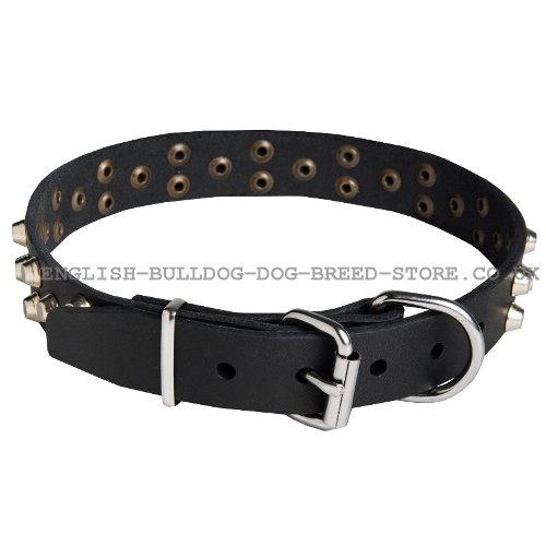 Bulldog Collars UK