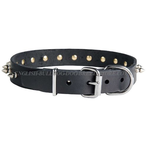 Bulldog Collars UK