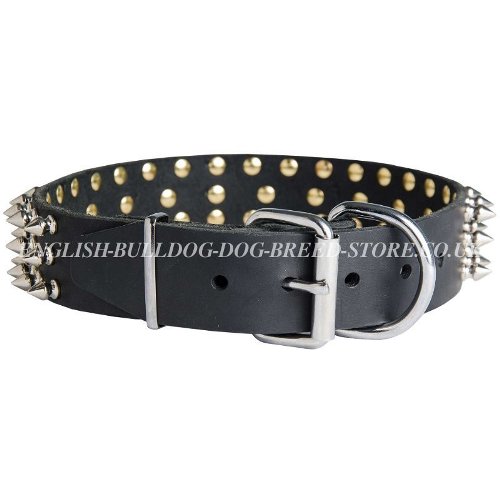 Bulldog Collars UK