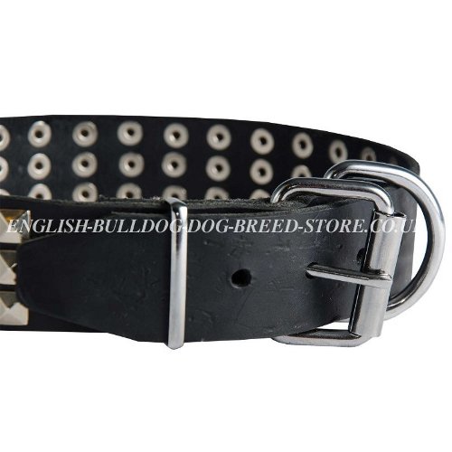 Bulldog Collars UK