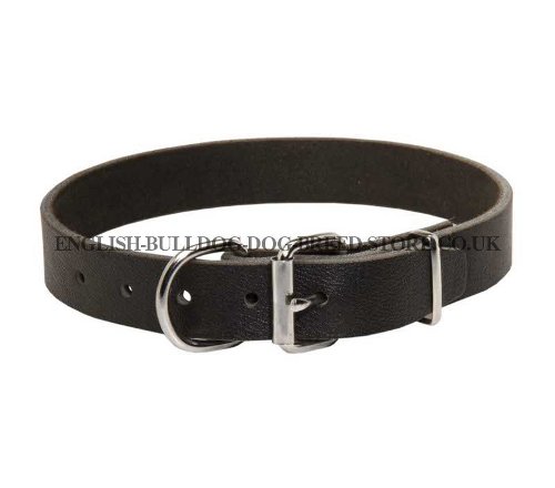 Bulldog Collars UK