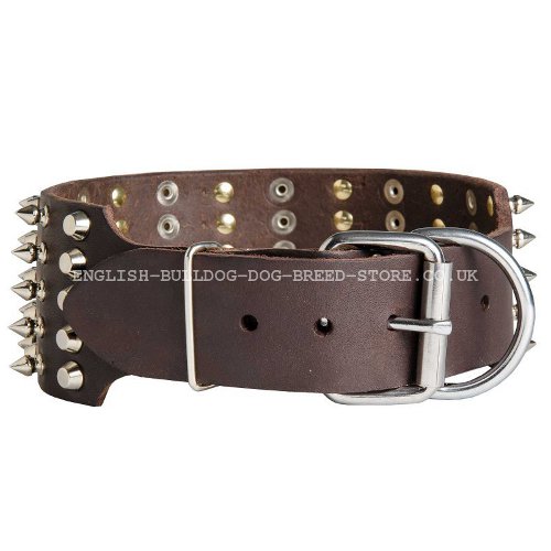 Bulldog Leather Collar UK