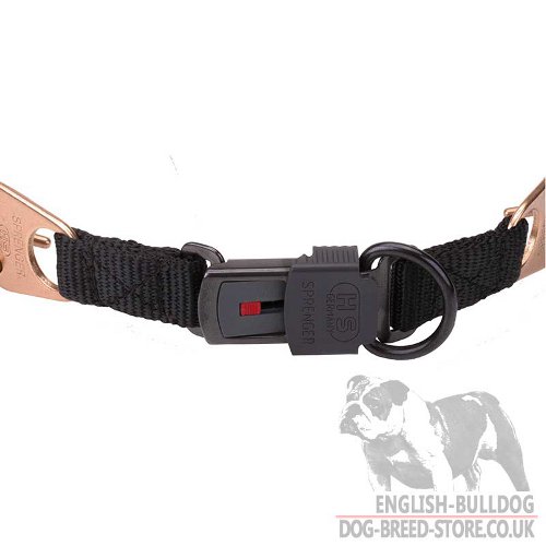 Herm Sprenger Prong Collar