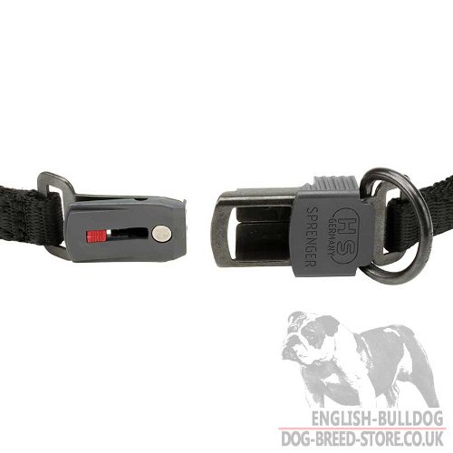 Curogan Dog Collar