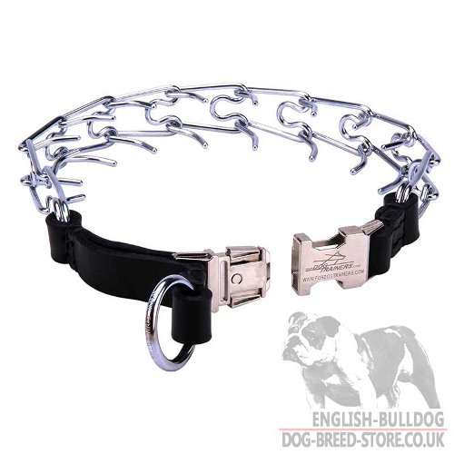 Pinch Dog Collars UK