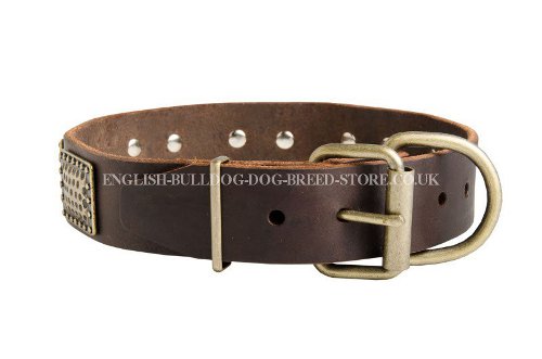 Large Dog Collars for Bullmastiffs UK