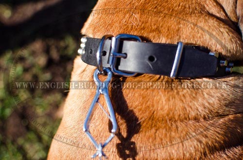 Bullmastiff Dog Collar