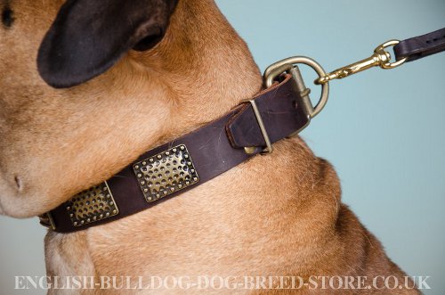 Bullmastiff Dog Collar UK Vintage
