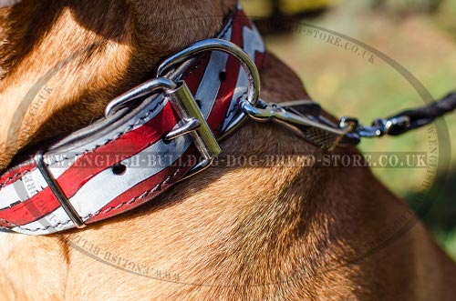 Bullmastiff Dog Collars