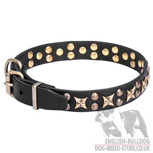 Charms Dog Collars UK for Bulldog