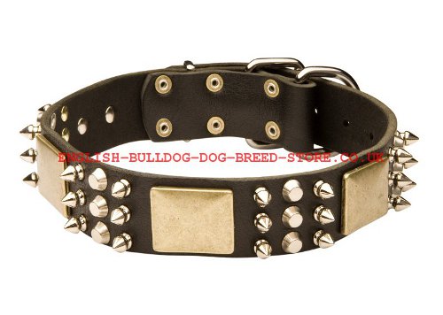 Chic Dog Collar UK for Bullmastiff