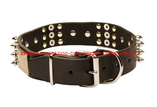 Chic Leather Dog Collar UK for Bullmastiff