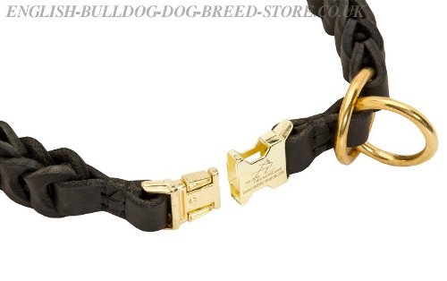 Collar for Bulldogs