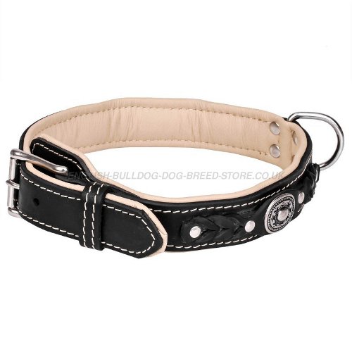 Cool Dog Collars for Bulldogs